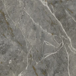 Prime LUSITANIA-GREY-PL 61 x 61 cm Polido Retificado