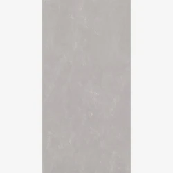 Prime PENICHE-GREY-PL 61 x 122 cm Polido Retificado