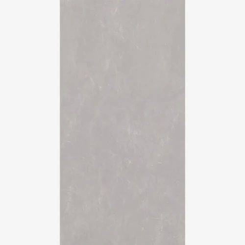 Prime PENICHE-GREY-PL 61 x 122 cm Polido Retificado
