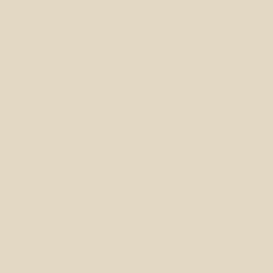 Prime REAL-BEIGE-PL 61 x 61 cm Polido Retificado