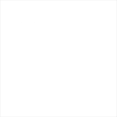 Prime REAL-WHITE-PL 82 x 82 cm Polido Retificado