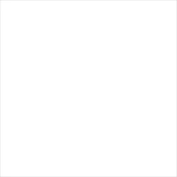 Prime BRANCO RT POLIDO 81 POLIDO Retificado