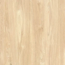 Prime CANELA BG MATE RT 81 MATE Retificado