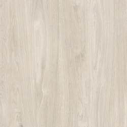 Prime CANELA CZ MATE RT 81 MATE Retificado