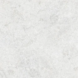 Formigres DARWIN CZ EXT RT 60 GRANILHADO Retificado