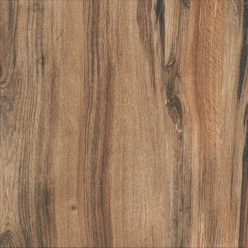 Formigres ECONATURE MR HD61 BRILHANTE Bold