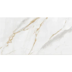 Premium GRAN VENATO BG MATE RT 60X120 MATE Retificado