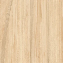 Formigres PALERMO BG RT 60 BRILHANTE Retificado